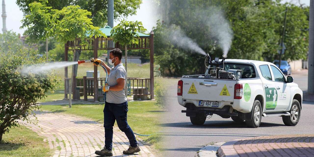 Konya’da haşere alarmı! Ekipler harekete geçti