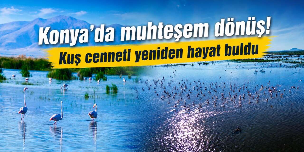 Konya’da geçen yıl selası verilen göl yeniden canlandı