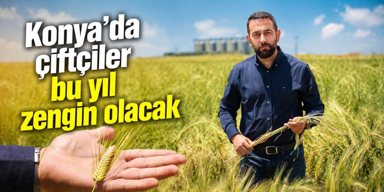 Konya’da yağışlar meyvesini verdi! Hububatta milyonluk rekolte bekleniyor