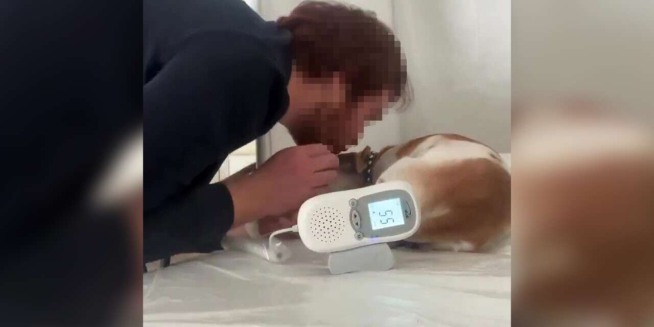 Hasta sedyesinde köpek tedavi eden doktor paylaşımlarıyla yine gündemde