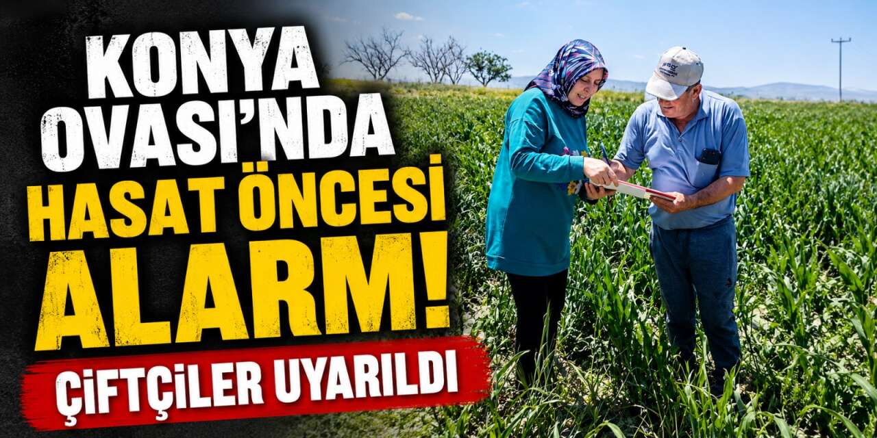 Türkiye’nin tahıl ambarı Konya’da hasat öncesi risk kapıda