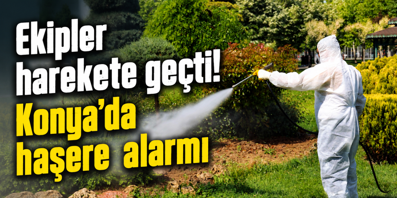 Konya’da haşerelere geçit yok! Ekipler 24 saat sahada