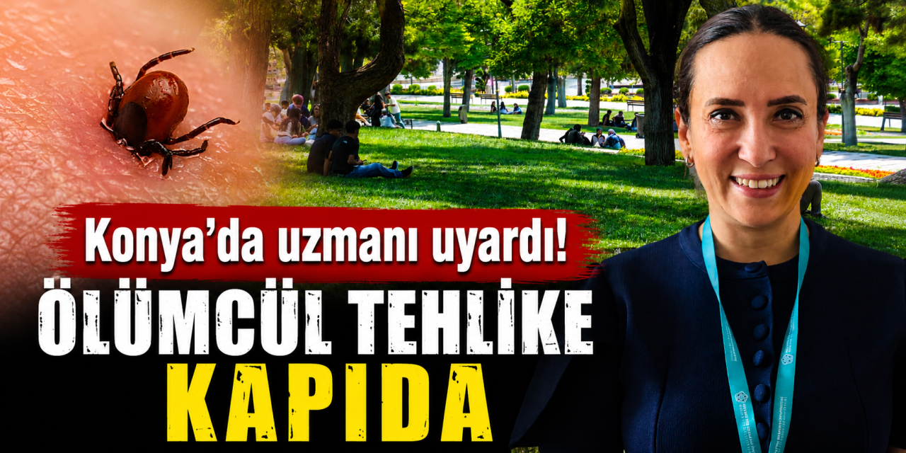 Yaz geldi, tehlike arttı! Konya’da uzmanı kenelere karşı uyardı
