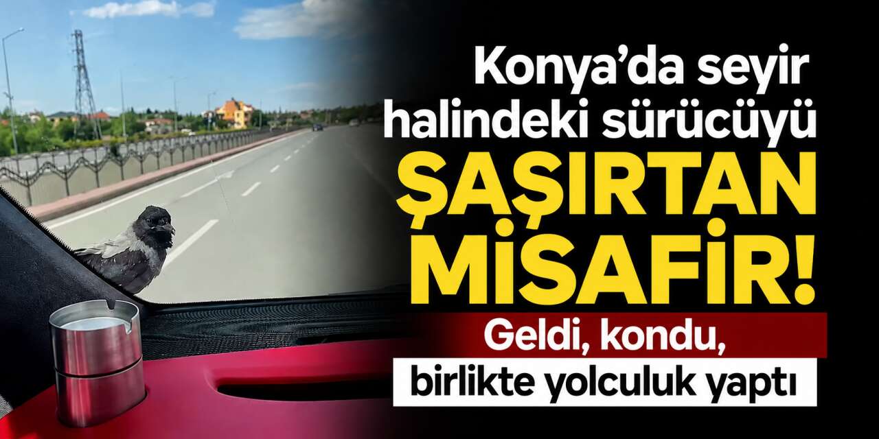 Konya trafiğinde ilginç an! Birlikte yolculuk yaptılar