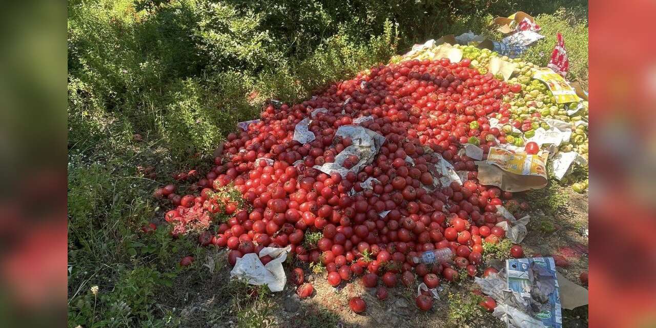 Ormanlık alana dökülen sebzeler gündem olmuştu! Bakanlıktan açıklama geldi