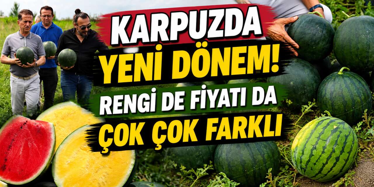 Karpuzda ezber bozan görüntü! Türkiye’de üretimi başladı