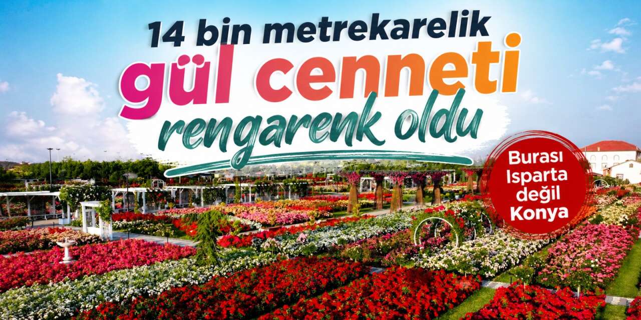 190 çeşit, 50 bin gül! Açıldığını duyan Konya’daki bu parka akın ediyor