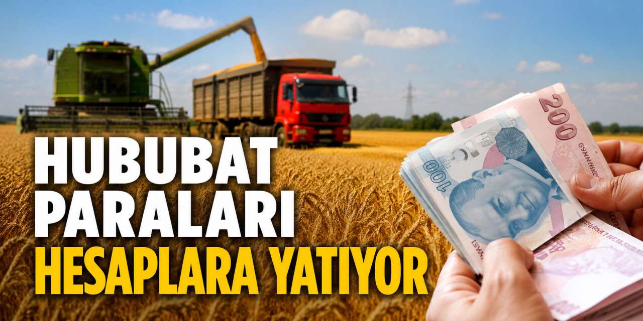 Çiftçinin beklediği haber geldi! TMO hububat ödemelerine başladı