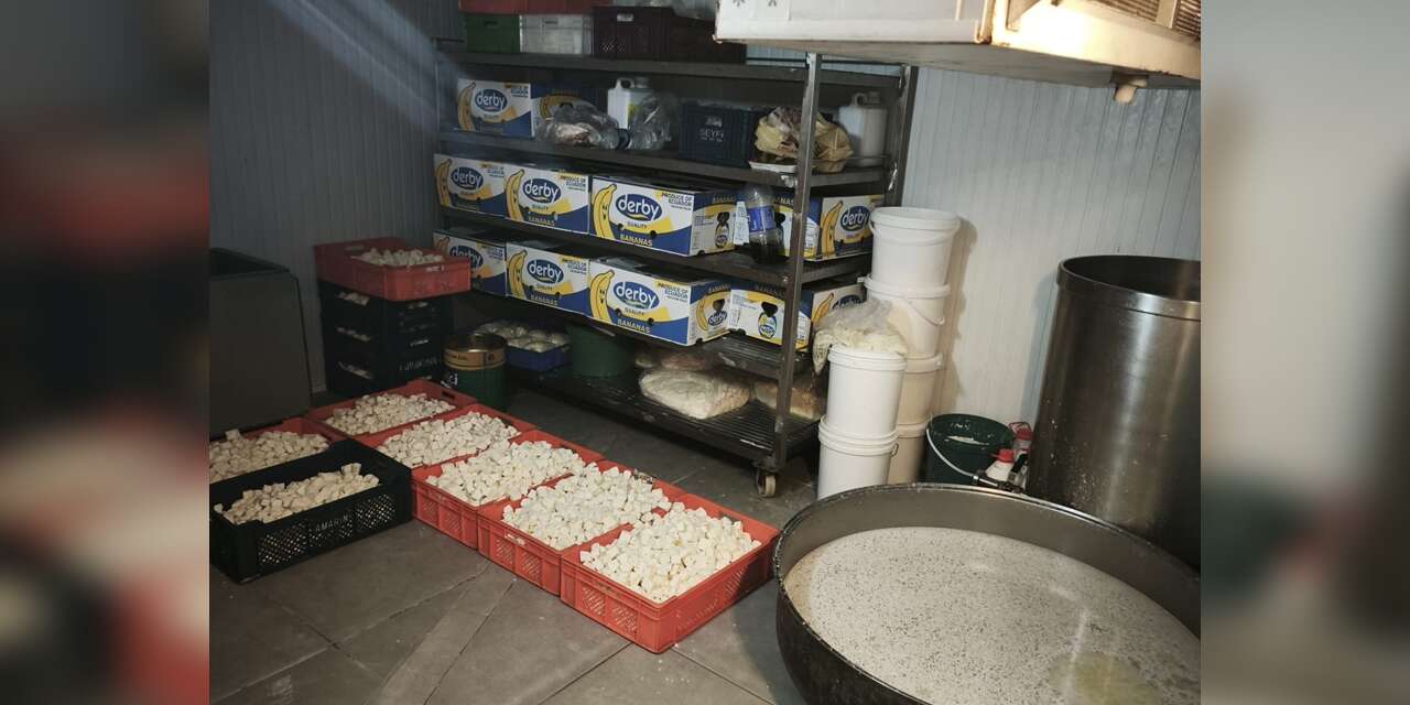 Yakalanmasalar 9 ton bozuk süt ürününü vatandaş yiyecekti