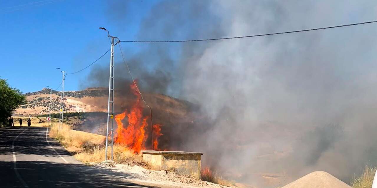 Karga bahçeyi yaktı