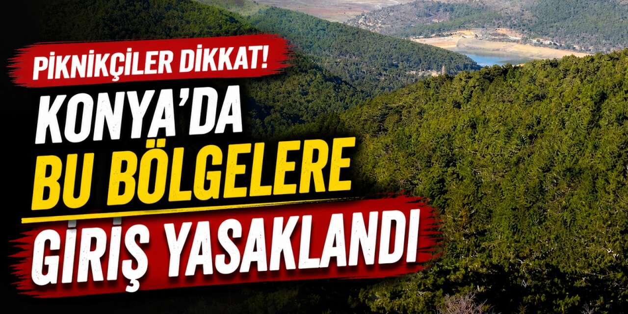 Konya’nın 13 ilçesinde 4 aylık yasak başladı! Uymayana ceza kesilecek