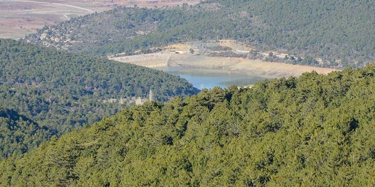 Konya’nın 13 ilçesinde 4 aylık yasak başladı! Uymayana ceza kesilecek