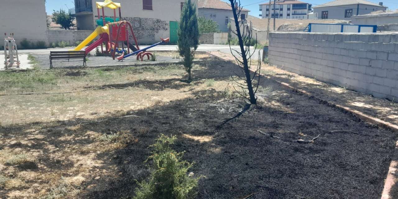 Konya'da parkta peş peşe kundaklama iddiası