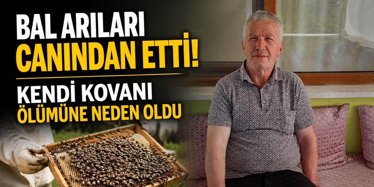 Gözü gibi baktığı arıları canından etti! Yaşar Oturak’dan acı haber