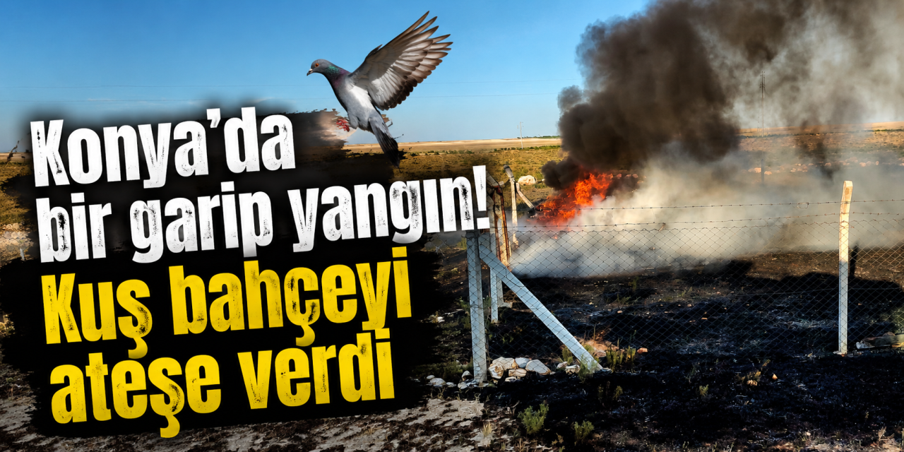 Konya'da peş peşe yangın! Biri temizlikten, diğeri kuştan çıktı