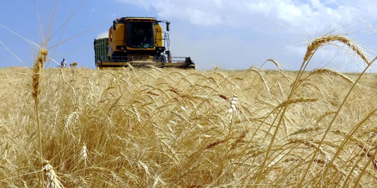 Türkiye tarımsal hasılada rekor kırdı