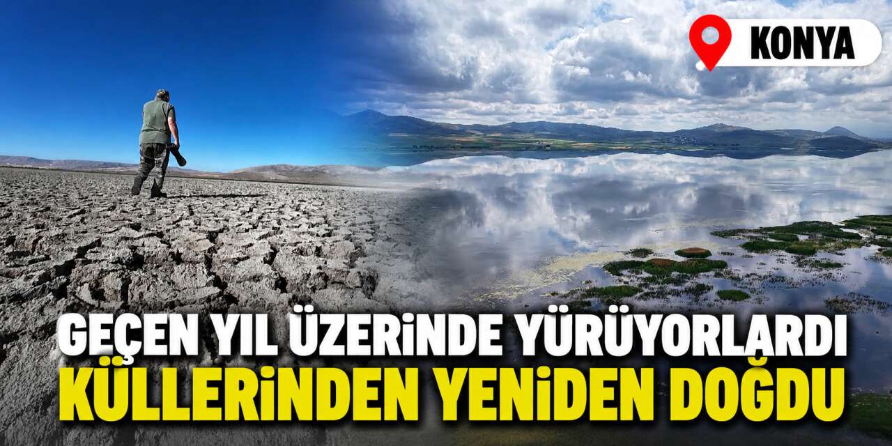 Konya’da mucize gerçekleşti! Binlerce kişi bayram ediyor