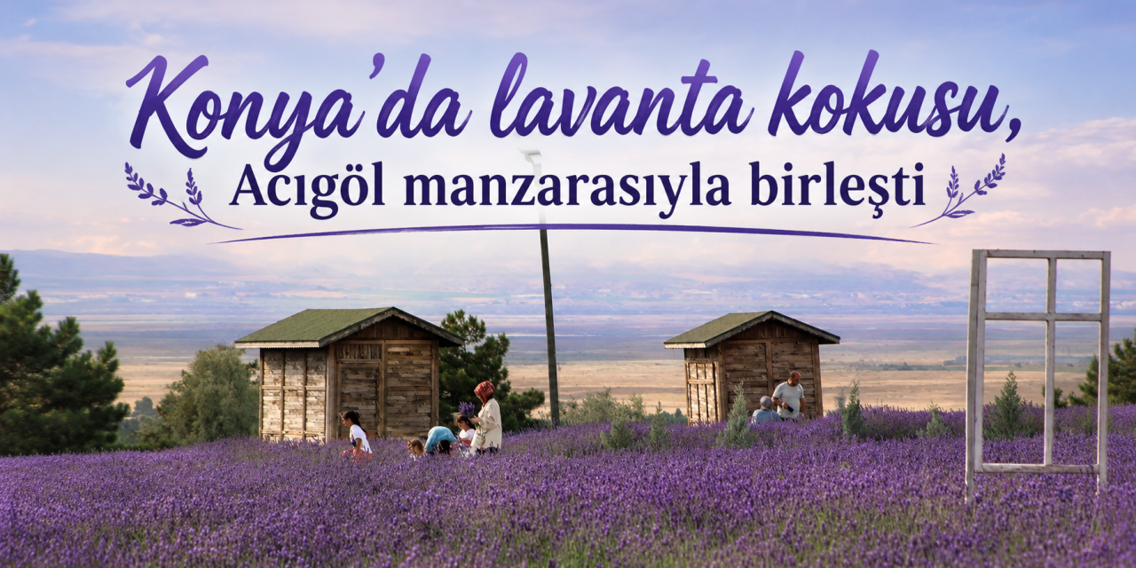 Doğanın en güzel tablosu Konya'da! Bir tarafta Acıgöl, diğer tarafta lavanta