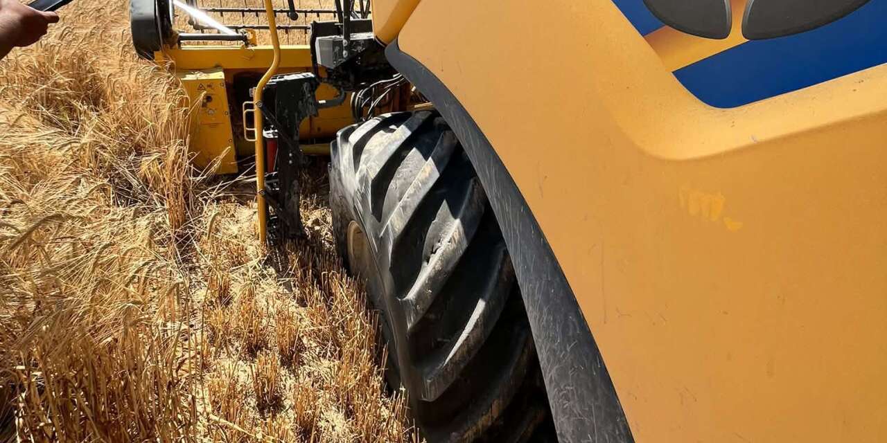 Hasat yapan çiftçi Konya’nın kabusu sandı, gerçek farklı çıktı