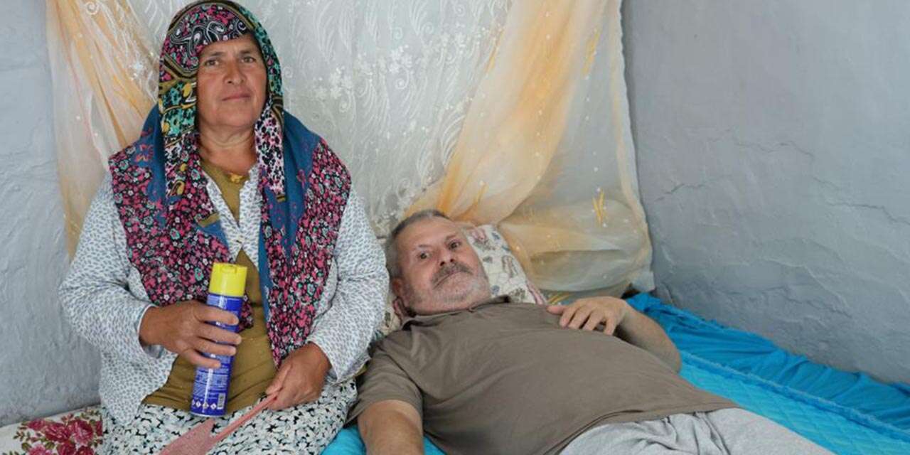 Bir garip dram! Herkes uykudayken o eşi için sinek nöbeti tutuyor
