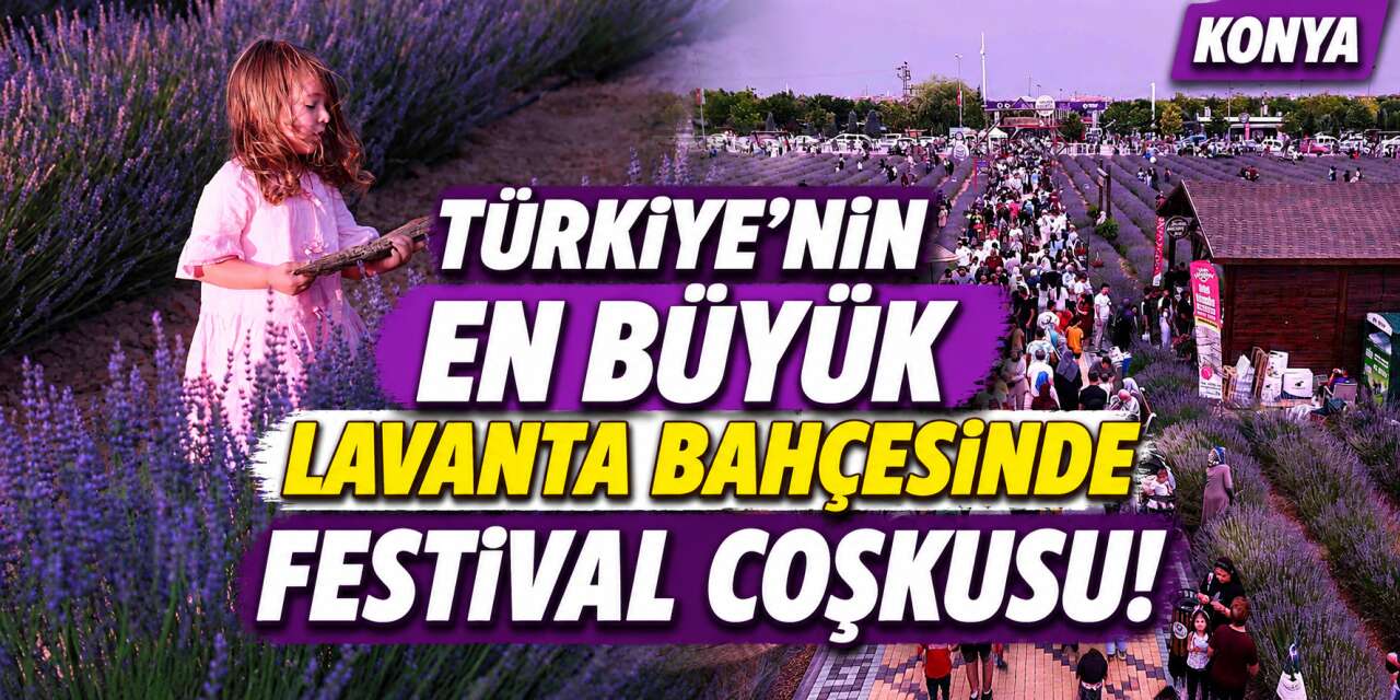 Konya'nın mor tarlalarına ziyaretçi akını! Festival rekorla tamamlandı