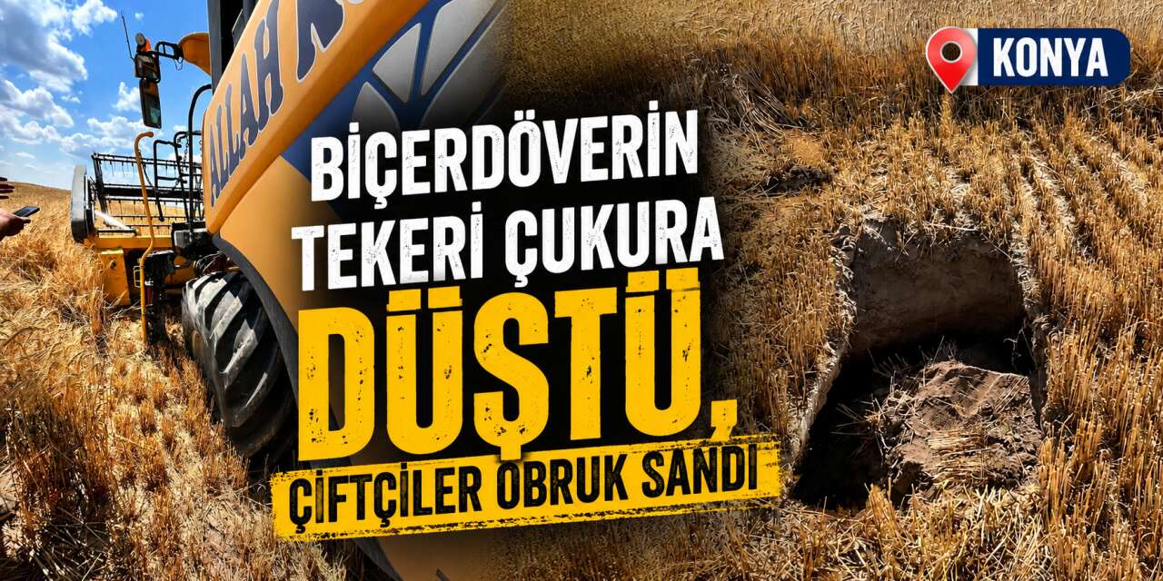 Hasat yapan çiftçi Konya’nın kabusu sandı, gerçek farklı çıktı
