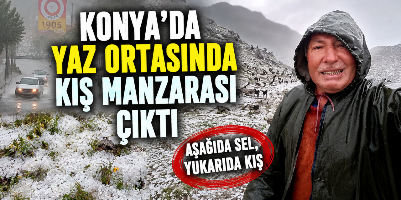 Konya’nın zirvesi kışa döndü! Çoban sürüsünü son anda kurtardı