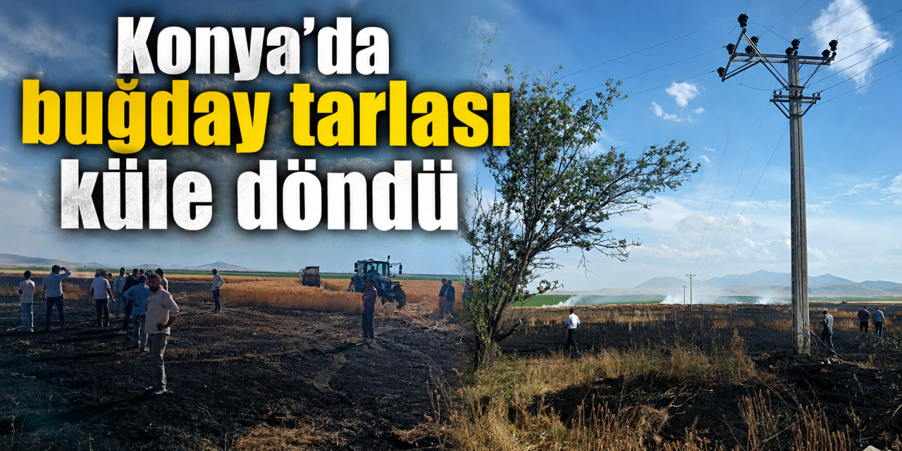 Konya'da çiftçinin emeği kül oldu! 20 dekarlık buğday tarlası yandı