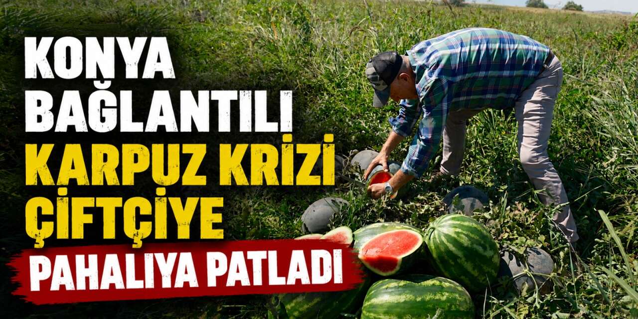Konyalı firmayla yaptığı anlaşma kabusa döndü! 20 milyon liralık zarar etti