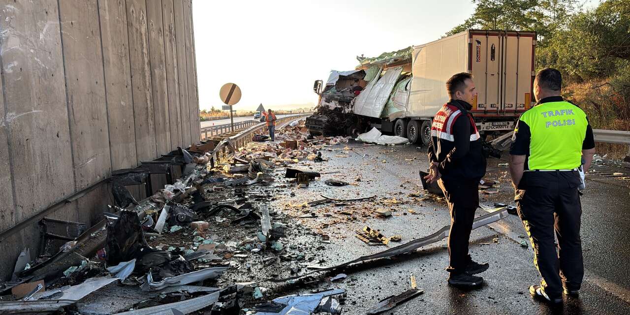 Tavuk eti yüklü TIR köprü duvarına çarptı! Recep Sürekli kurtarılamadı