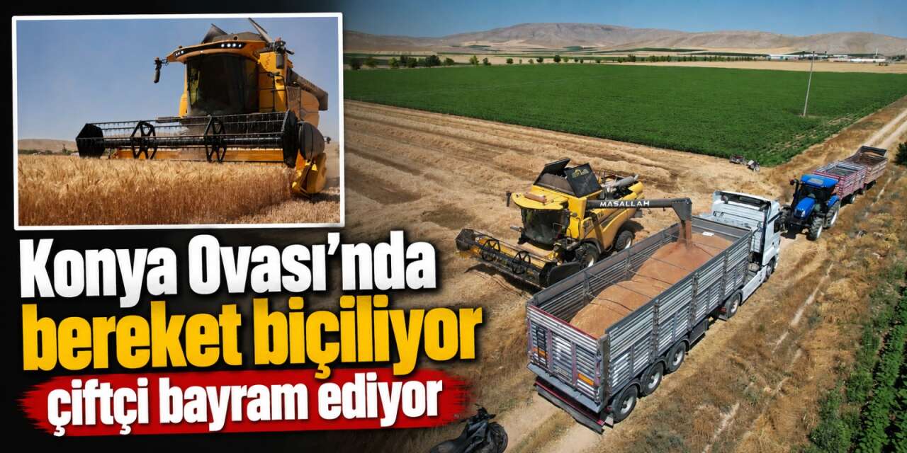 Türkiye’nin tahıl ambarı Konya’da altın başaklar çiftçiye bayram ettirdi