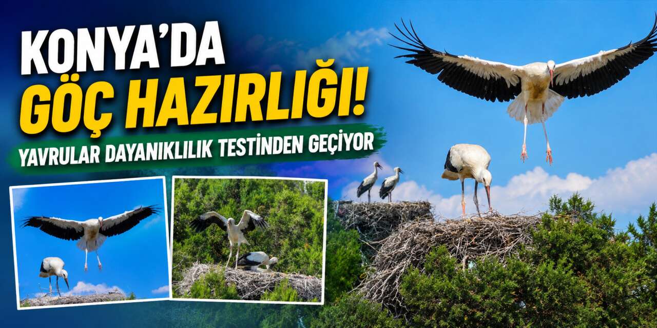 10 bin kilometre için sınav başladı! Geçemeyen Konya'da kalacak