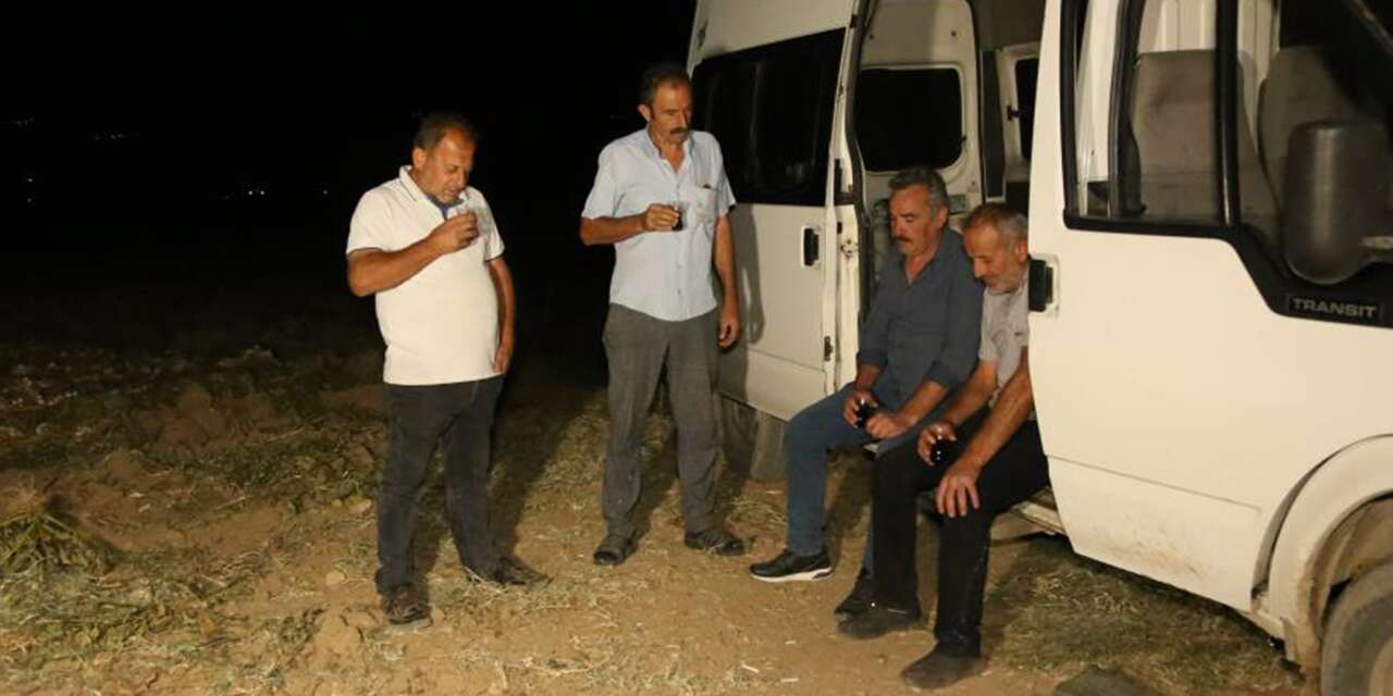 Çiftçiler “beyaz altın” için sabaha kadar ayakta