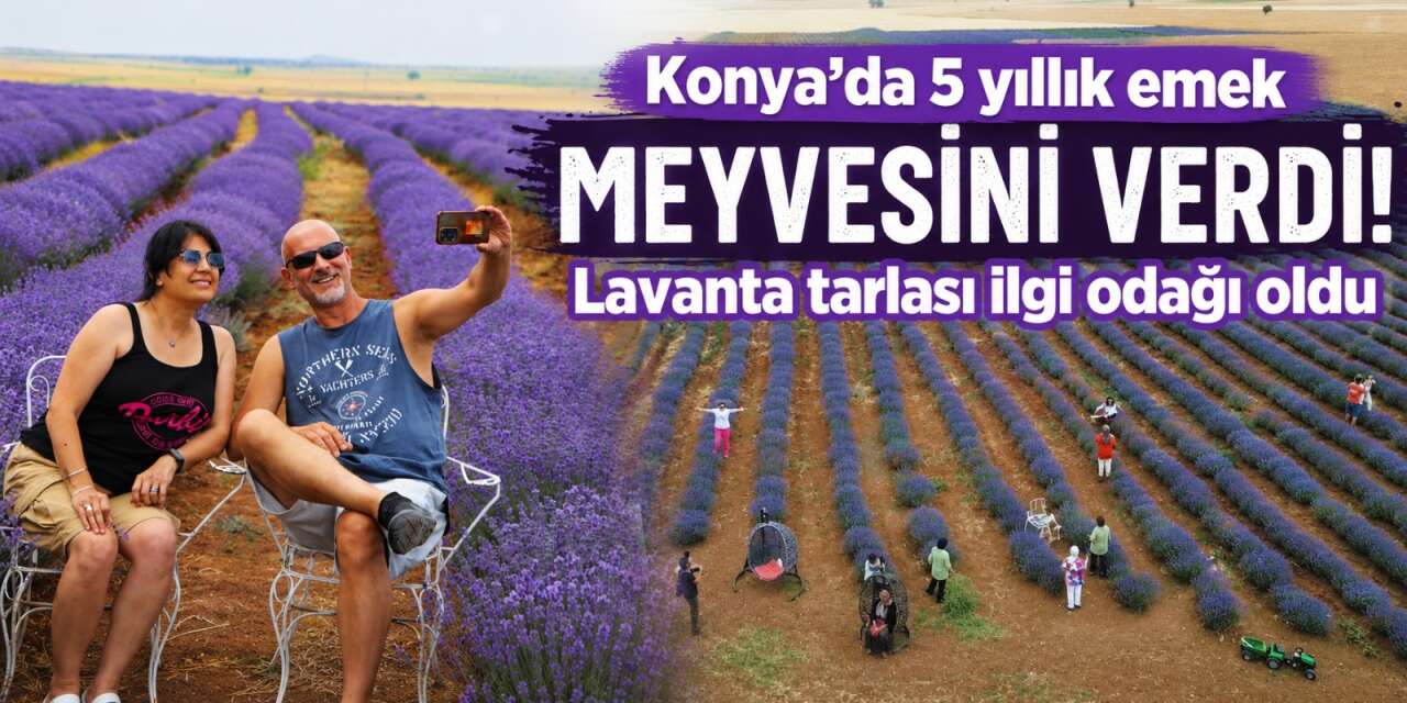 Konya’da 35 bin metrekarelik mor şölen! Ziyaretçiler akın akın geliyor