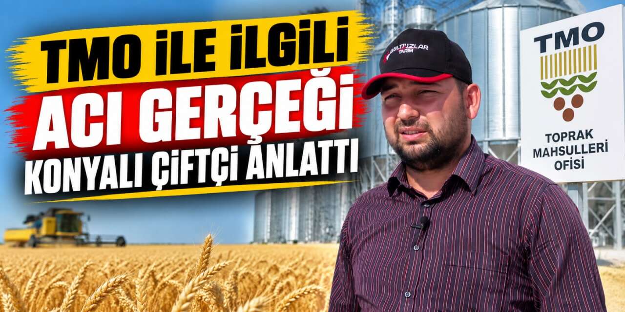 Konyalı çiftçiden tüccar insafı vurgulu TMO itirafı