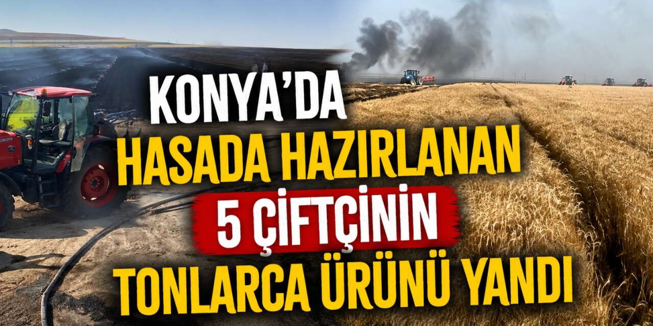 Konya’da hasat öncesi büyük felaket! 5 çiftçinin 500 dekar ekili alanı küle döndü