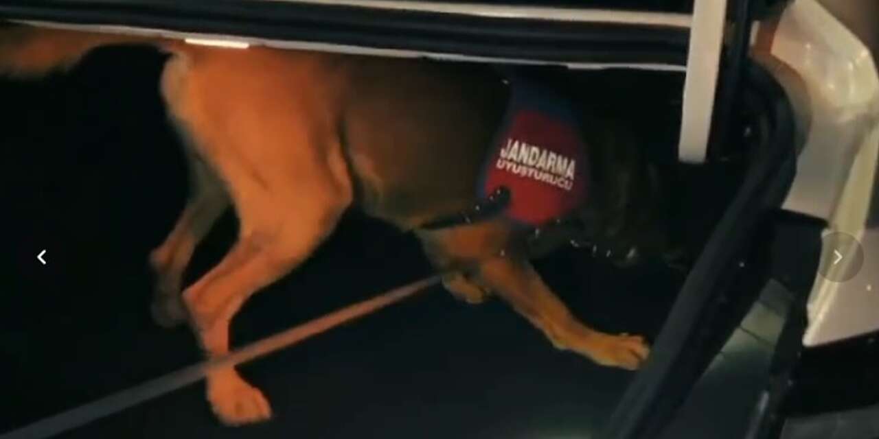 CHP'li meclis üyesi otomobilinin bagajında 5 kilo esrarla yakalandı