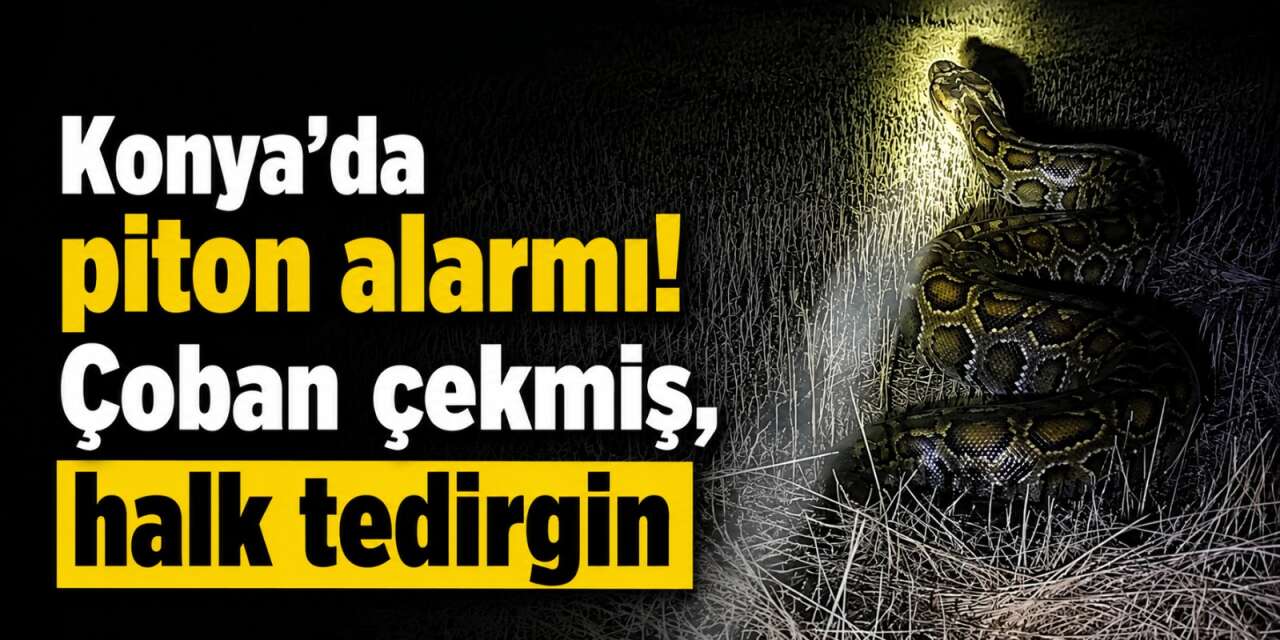 Konyalı çiftçilere gece yarısı acil uyarı yapıldı! Tarlada devasa tehlike