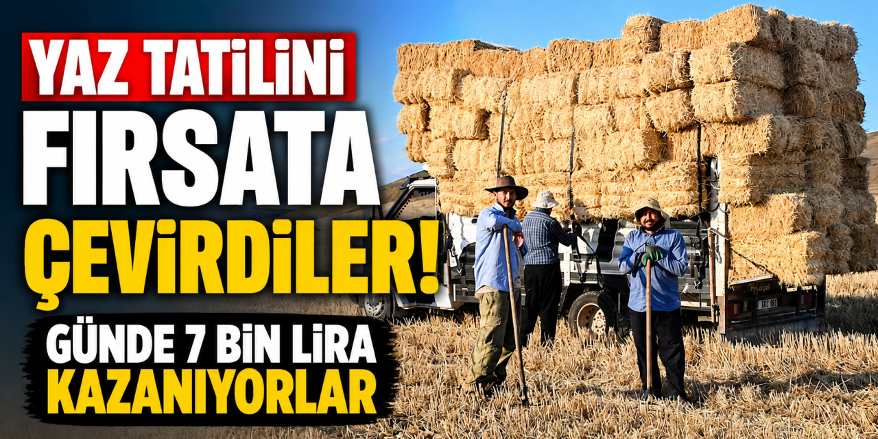 Yazın 2 ay çalışıp servet kazanıyorlar! Üniversite mezunu da geliyor, öğrenci de