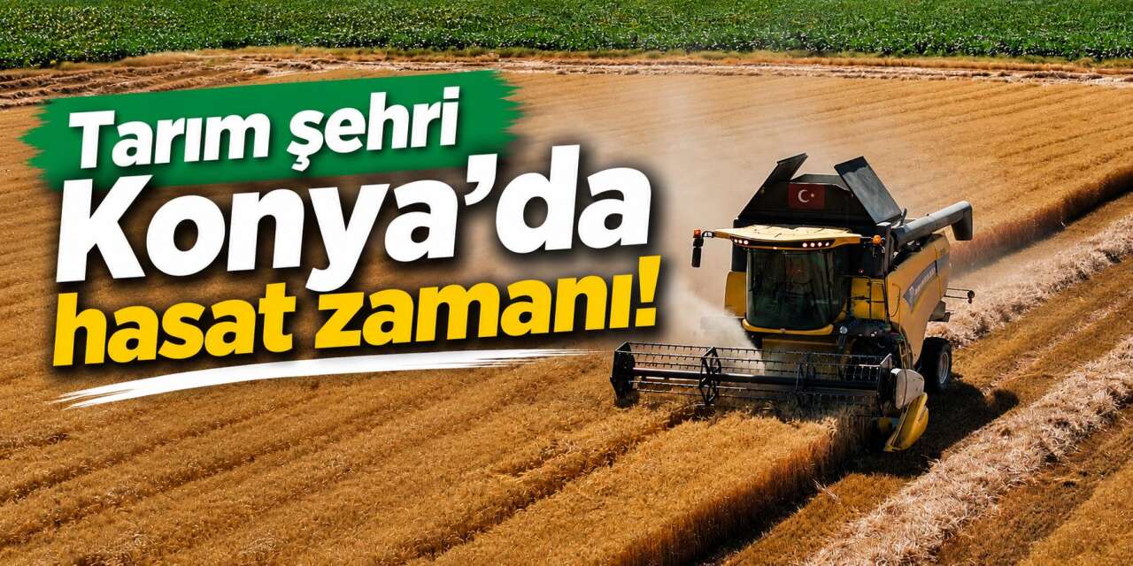 Konya’nın bereketli topraklarında hasat heyecanı! Başkan Altay çiftçilerle buluştu