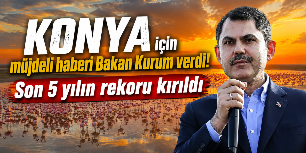 Bakan Kurum müjdeyi verdi! Konya'nın flamingo cennetinde 13 bine yakın yavru dünyaya geldi
