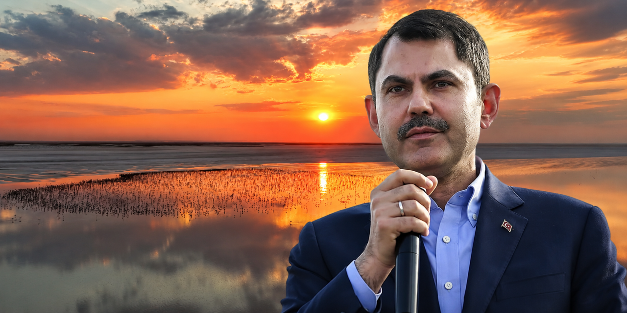 Bakan Kurum müjdeyi verdi! Konya'nın flamingo cennetinde 13 bine yakın yavru dünyaya geldi