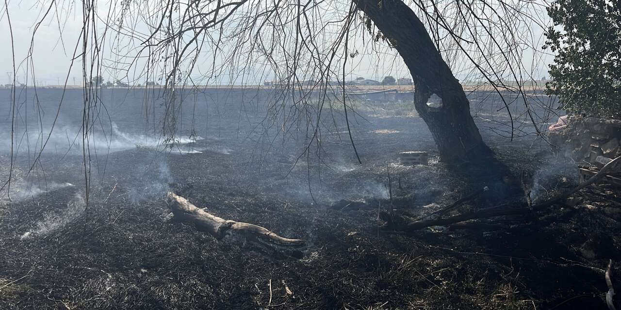 Konya’da elektrik tellerine çarpan karga anızları ateşe verdi
