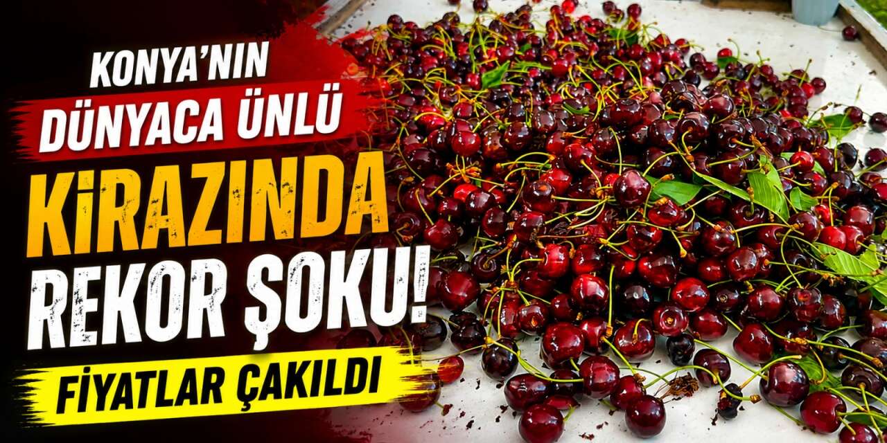 Konya'da kiraz bolluğu kaliteyi vurdu! Fiyatlar 25 TL'ye kadar geriledi