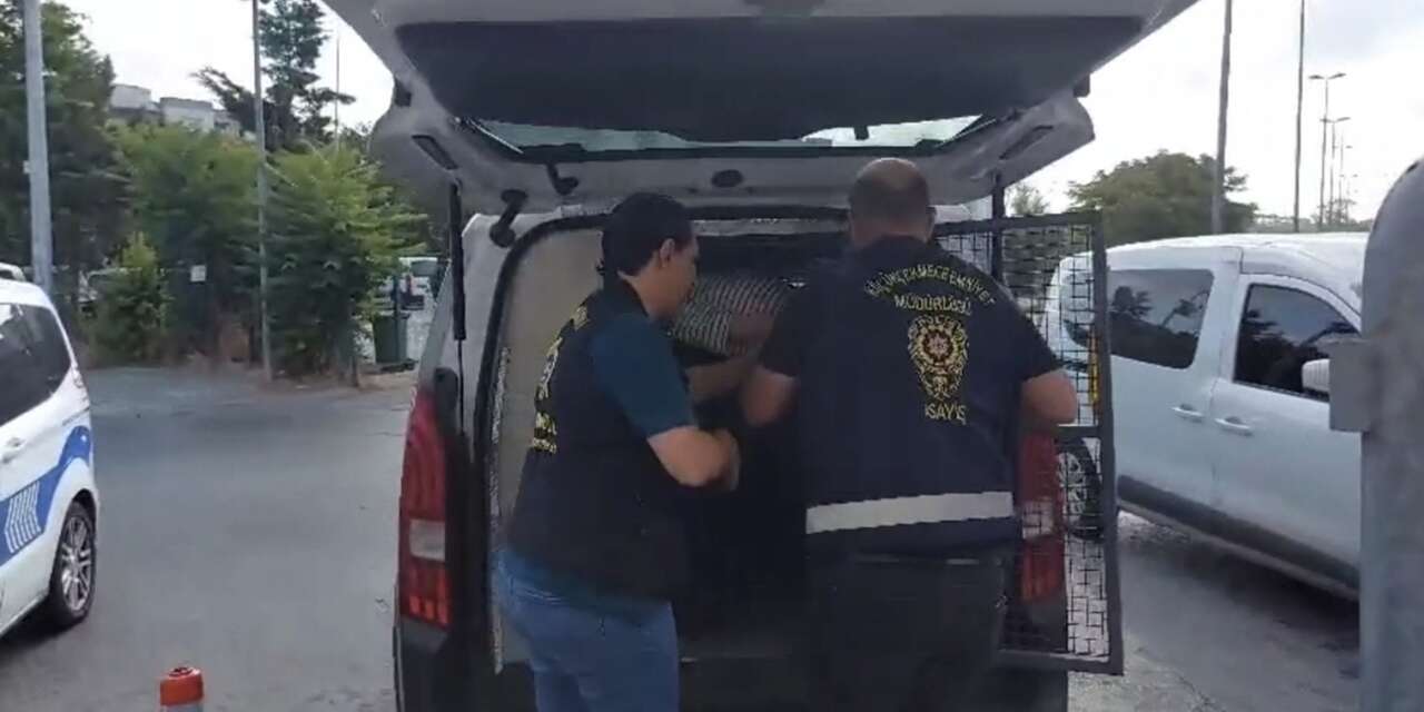 Hamile eşine tatlı almak için çıktı, 6 yerinden bıçaklandı