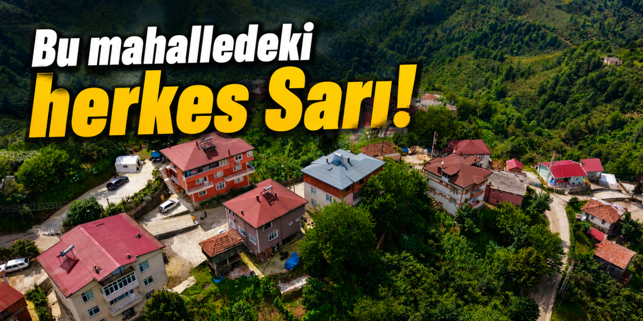 135 hanelik mahallenin kaderi! Ölseler de değişmiyor