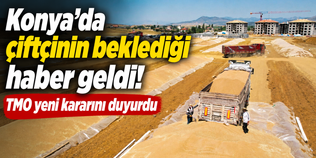 Türkiye’nin tahıl ambarı Konya’da rekolte patladı! TMO yeni karar aldı