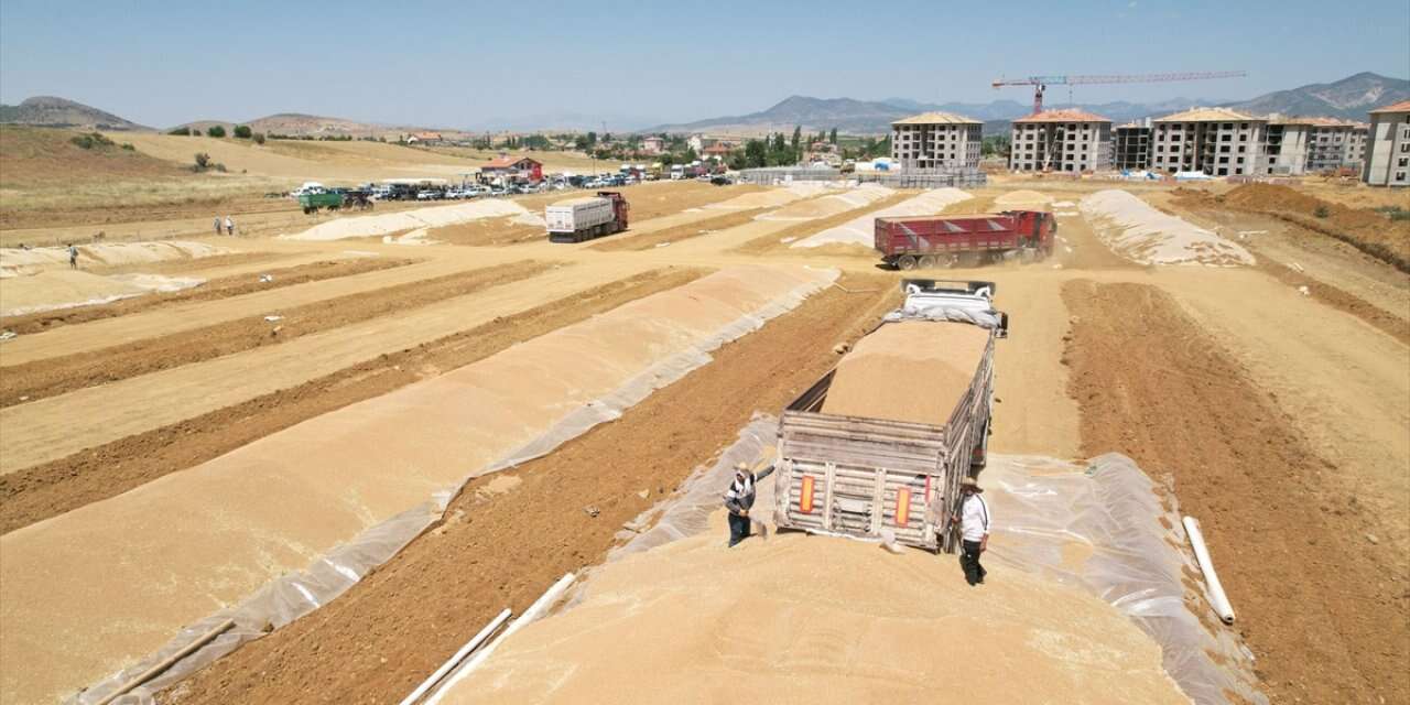 Türkiye’nin tahıl ambarı Konya’da rekolte patladı! TMO yeni karar aldı