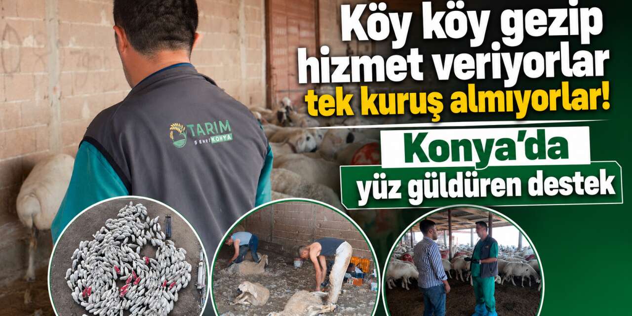 Konyalı çiftçinin cebi rahatladı! Büyükşehir 31 ilçede tamamen ücretsiz yaptı