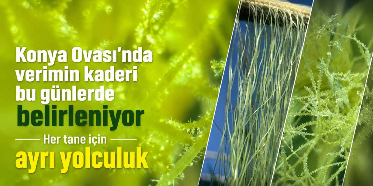 Konya’da milyonların yolculuğu başladı! İşte gizemli sürecin fotoğrafları